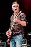 Artist Toadies